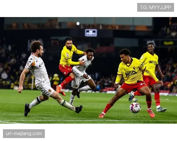 特写瞬间:沃特福德绝杀保级对手后,主场球迷涌入球场庆祝